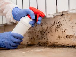 Best Emergency Mold Remediation  in Venice, FL